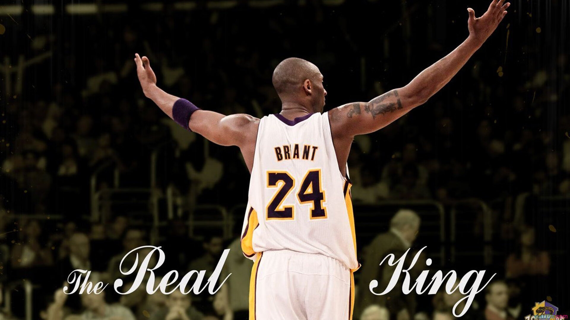 CBA球迷的热情点亮整个赛季，cba球迷的热情点亮整个赛季了吗