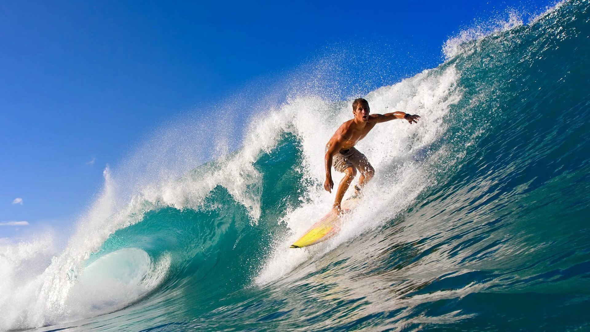 LeyuSports-中国女篮的坚韧让全世界动容，中国女篮真棒